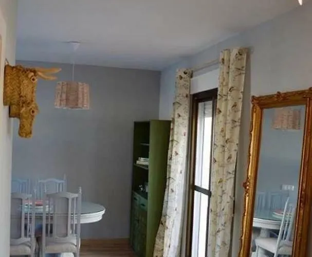 Sunshine Seneca Kordoba